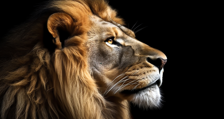 Profissionais da contabilidade são apontados como essenciais pela Receita Federal na declaração do IRPF 2026